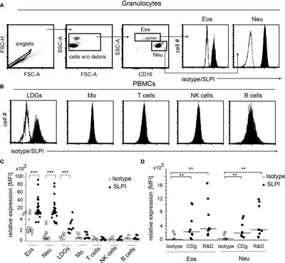 Secretory Leukocyte Protease Inhibitor Is Present in Circulating and Tissue-Recruited Human Eosinophils and Regulates Their Migratory Function